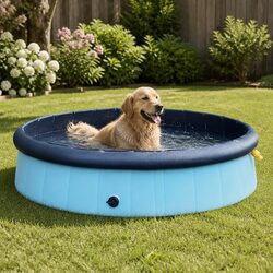 Practical Folding Dog Pool for Home and Outdoor Use