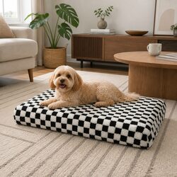Practical Orthopedic Dog Bed for Various Uses