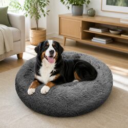 Perfect Pet Bed for Any Home Setting
