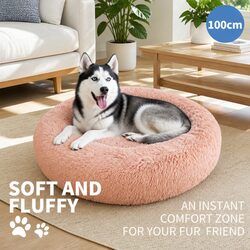 Practical Use Cases for the XL Dog Bed