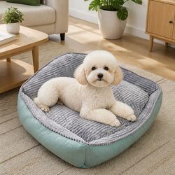 Practical Dog Bed for Everyday Use at Home