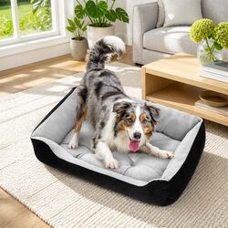 Perfect Pet Bed for Any Home Setting