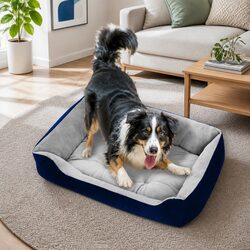Practical PawFriends Walled Pet Bed for Everyday Use