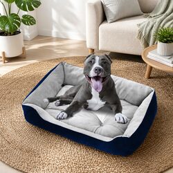 The Perfect Pet Bed for Indoor and Outdoor Use