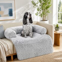 Practical Pet Sofa Bed for Everyday Use at Home