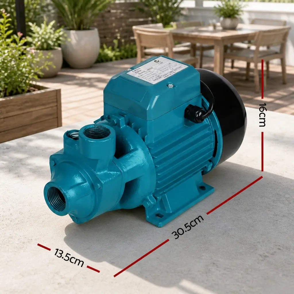 Irrigation Pump 750W Brass Impeller 1 Inch Blue
