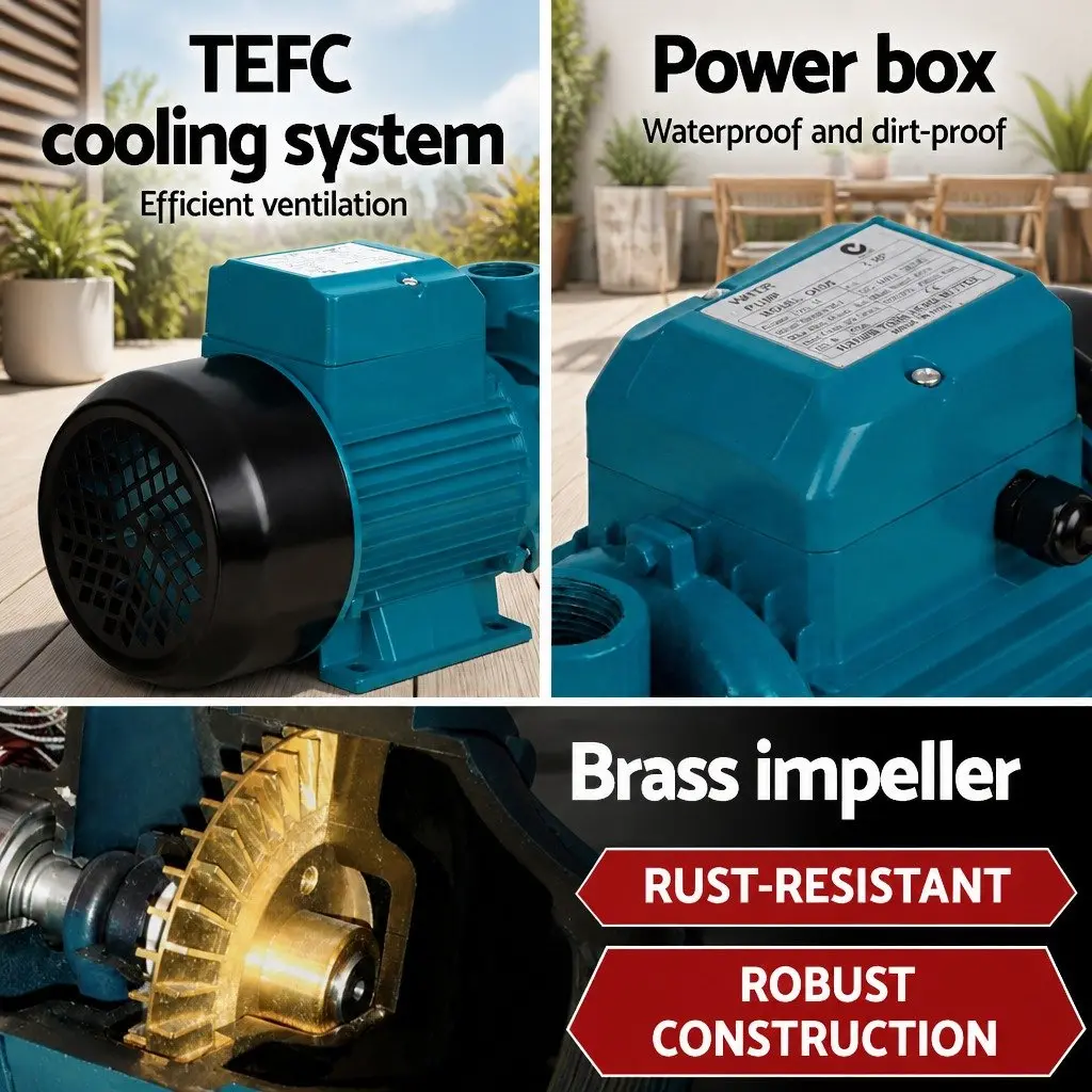 Irrigation Pump 750W Brass Impeller 1 Inch Blue