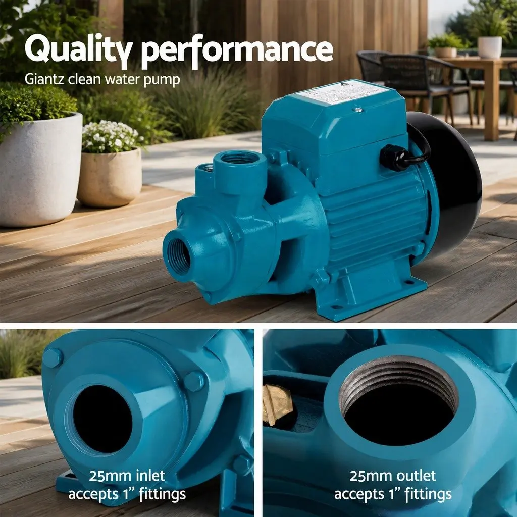 Irrigation Pump 750W Brass Impeller 1 Inch Blue