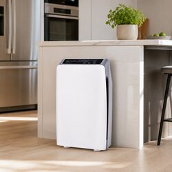 Practical Air Purifier for Home Use with Remote Control
