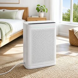 Versatile Air Purifier for Bedroom and Home Office