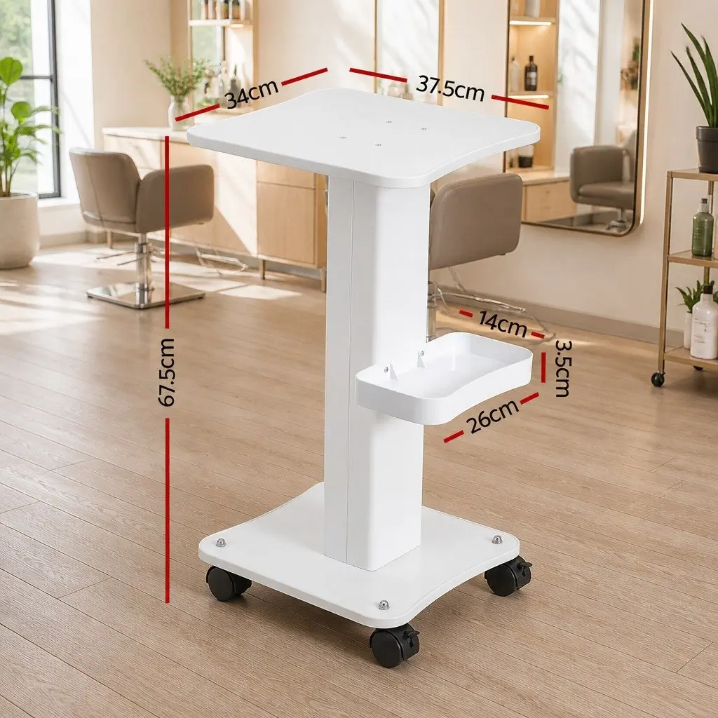 Salon Trolley Cart Rolling Storage Tray Hairdressing Beauty Equipment Stand