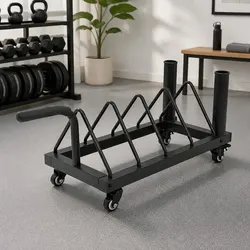 Functional Horizontal Bumper Plate Rack for Home Gyms