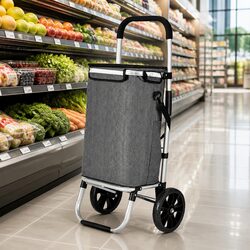 Versatile Shopping Trolley for Everyday Use