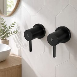 Versatile Twin Tap Faucet for Showers and Basins