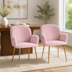 Practical Dining Chairs for Home Use - Set of 2