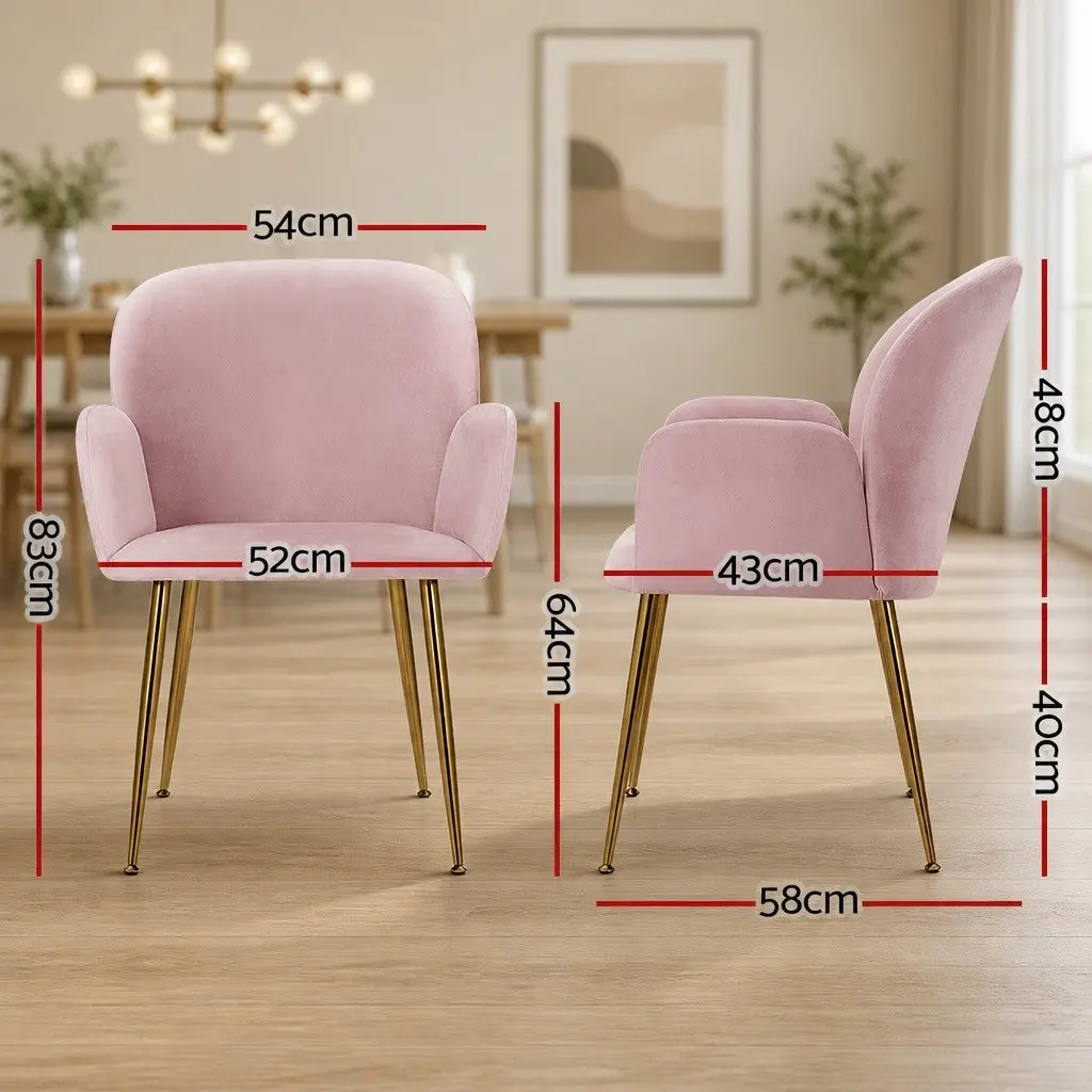 Pink Velvet Dining Chairs Set of 2 Armchair with Cushioned Back Support Wood Frame Steel Legs