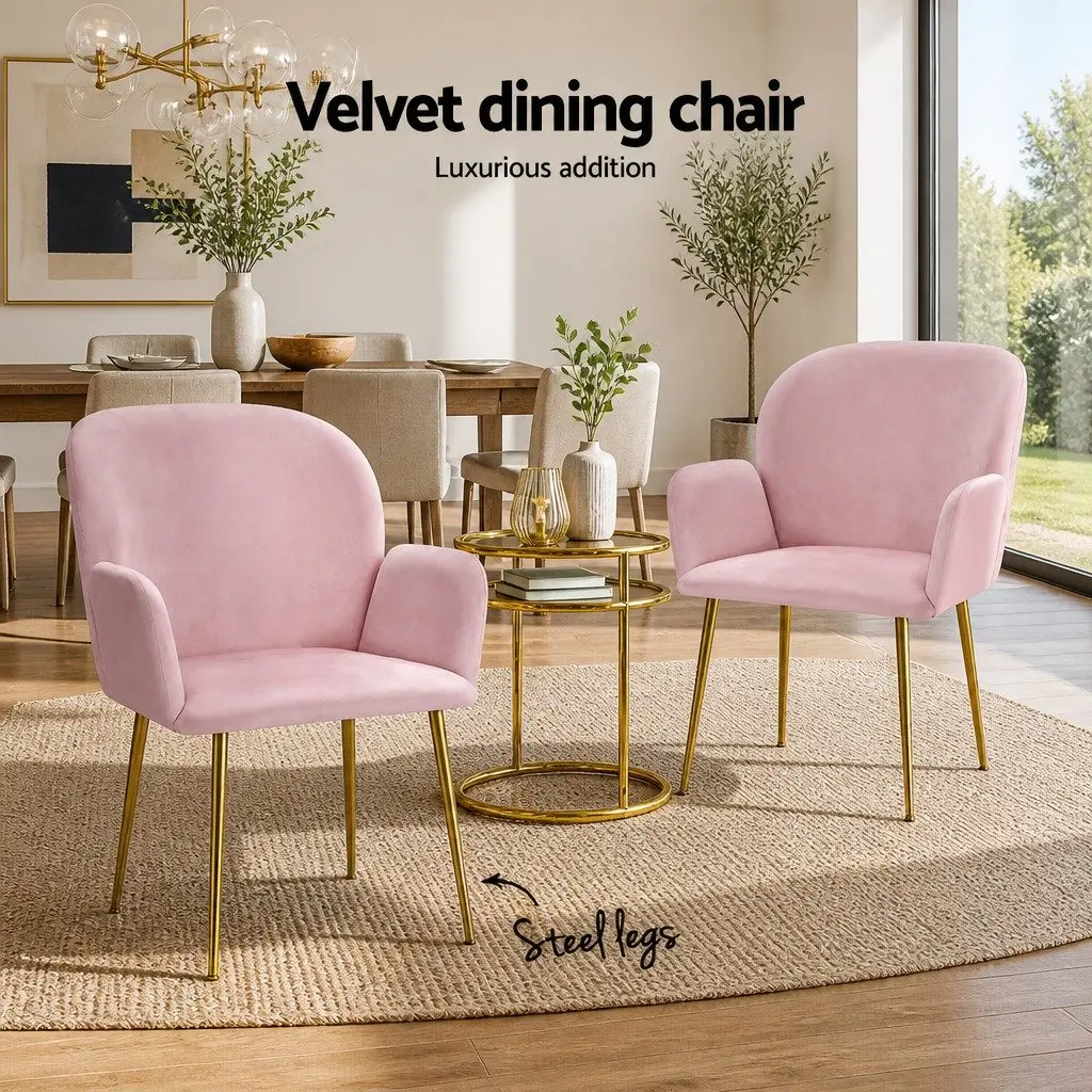 Pink Velvet Dining Chairs Set of 2 Armchair with Cushioned Back Support Wood Frame Steel Legs