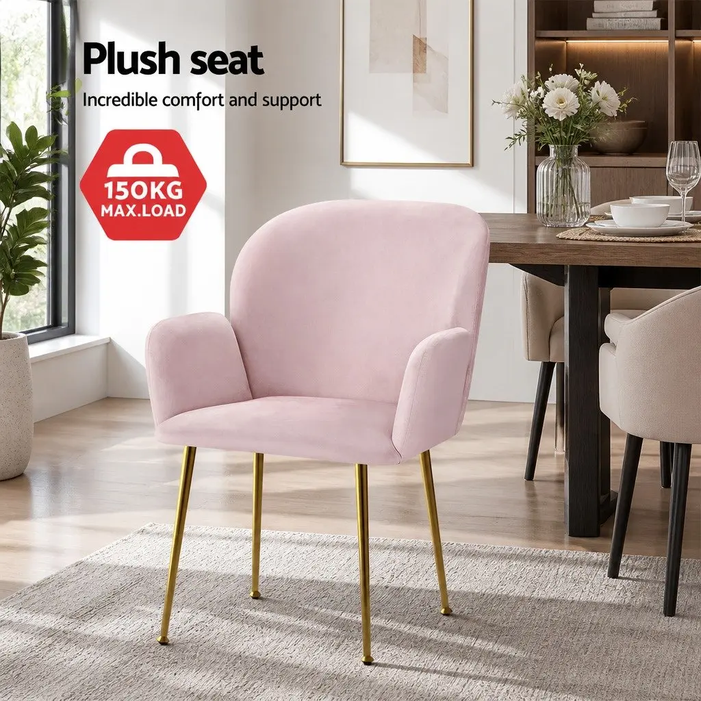 Pink Velvet Dining Chairs Set of 2 Armchair with Cushioned Back Support Wood Frame Steel Legs