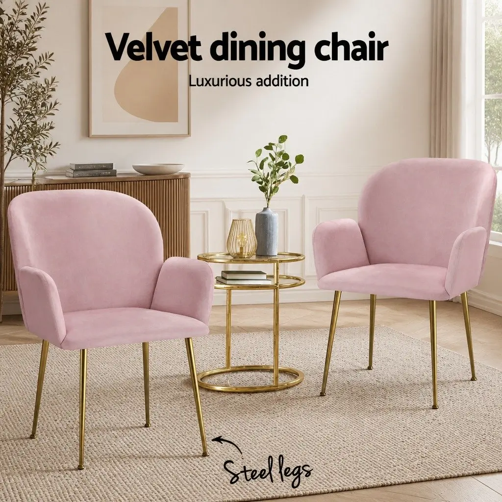 Dining Chairs Velvet Cushioned Back Armchair 4 Piece Pink