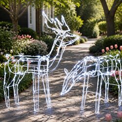 200 Bulb Christmas Reindeer LED Lights - Indoor/Outdoor
