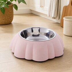 Perfect 2 in 1 Pet Bowl for Everyday Use