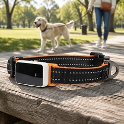 Functional Medium Pet Collar with Tracker for Daily Activities