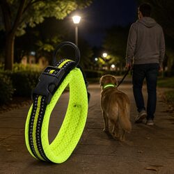 Practical Heavy Duty Dog Collar for Daily Use