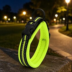 Practical XL Dog Collar with Reflective Elements