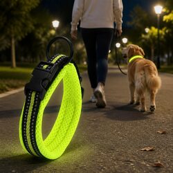 Practical Reflective Dog Collar for Daily Walks