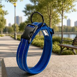 Heavy Duty Reflective Dog Collar with Safety Lock Clip Buckle Blue 2XS Pet