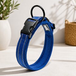 Practical Heavy Duty Collar for Everyday Use