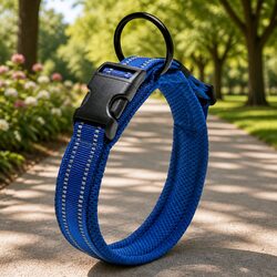 Practical Use of Reflective Dog Collar for Daily Walks