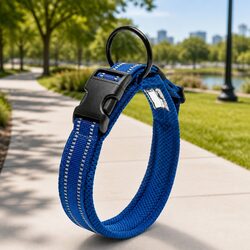 Practical Heavy Duty Dog Collar with Reflective Features, Blue