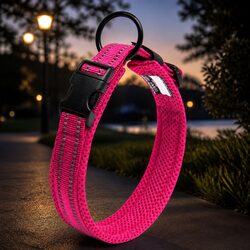 Practical Reflective Dog Collar for Everyday Use
