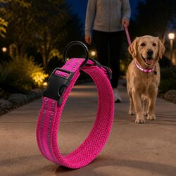 Practical Reflective Dog Collar for Everyday Use