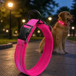 Practical Reflective Dog Collar for Everyday Use