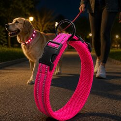 Practical Heavy Duty Pink Dog Collar with Lock Clip 2XL