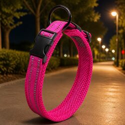 Practical Reflective Dog Collar for Everyday Use