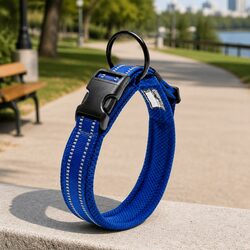 Heavy Duty Reflective Dog Collar with Safety Lock Clip Buckle Stainless Steel O