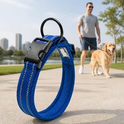 Practical XS Blue Dog Collar for Outdoor Safety
