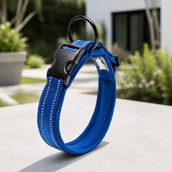 Heavy Duty Collar for Everyday Use