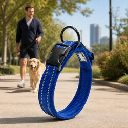 Practical Heavy Duty Reflective Dog Collar for Walks