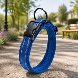 Ideal for Walks: Heavy Duty Reflective Dog Collar 2XL