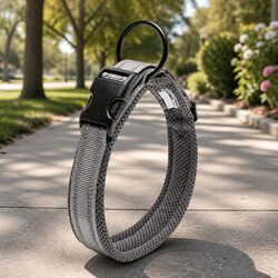 Versatile Grey Dog Collar: Secure Fit for Active Lifestyles