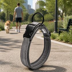 Heavy Duty Reflective Dog Collar for Daily Use