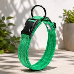 Heavy Duty Reflective Dog Collar with Safety Lock Clip Buckle Green 2XS Pet
