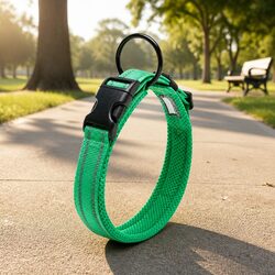 Practical XS Green Dog Collar with Night Visibility Features