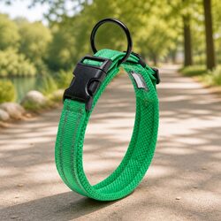 Heavy Duty Green Reflective Dog Collar with Safety Lock Clip