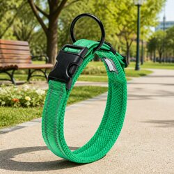 Practical Green Dog Collar Suited for Outdoor Activities