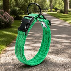 Practical XL Dog Collar for Safe Nighttime Walks